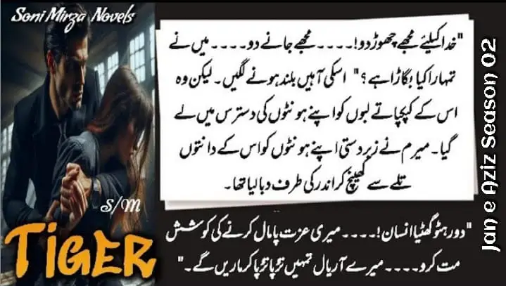 Jan E Aziz Season 2 Tyger by Soni Mirza